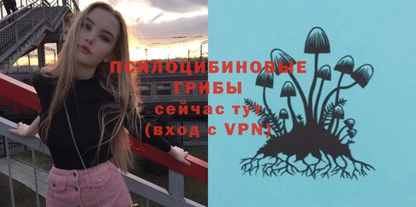 амф Осташков