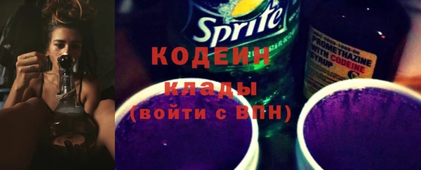 винт Ельня