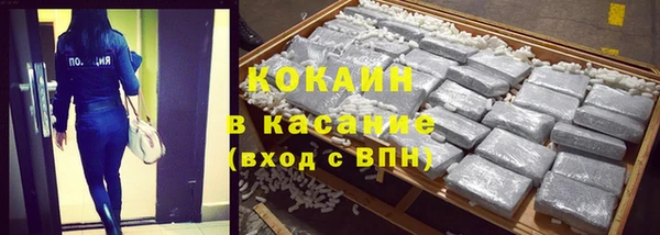 твердый Осинники